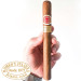 Charuto Romeo y Julieta Churchill
